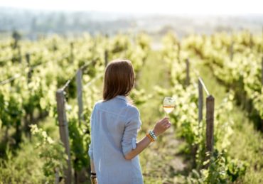 Où séjourner dans la vallée du Rhône pour un circuit viticole