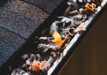 a group of bees on a wood surface