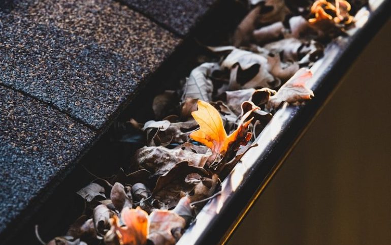 a group of bees on a wood surface